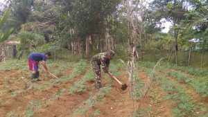Ditengah Pandemi, Serda Wianto Ajak Warga Tanam Ubi Untuk Ketahanan Pangan