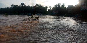 Sungai Batang Bungo Meluap, Tepian Manjo Terendam