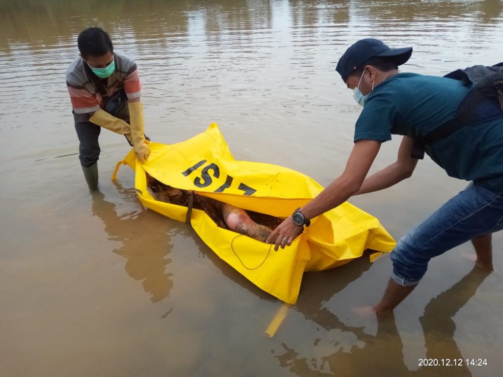 Warga Tebo Temukan Mayat Tanpa Identitas di Sungai Batanghari