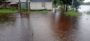 Banjir dan Buaya Ancaman Warga Teluk Dawan Tanjabtim, Waspada!