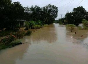 Duh! Banjir Rendam 3 Rumah di Tirta Mulya Bungo, Warga Minta Ini…
