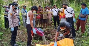 Heboh ! Warga Pemenang Temukan Kerangka Manusia di Kebun Sawit