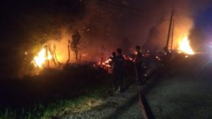 Diduga Akibat Puntung Rokok, Lahan Kosong Depan RSUD Bungo Terbakar