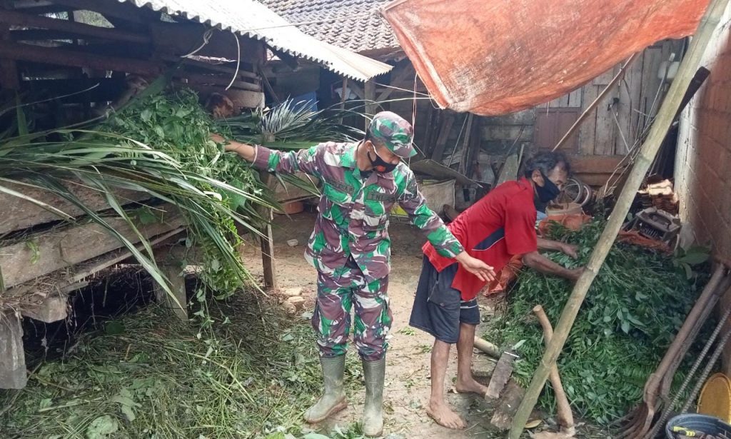Manfaatkan Waktu Luang, Anggota Pra TMMD 111, Bantu Beri Makan Ternak