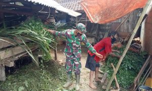 Manfaatkan Waktu Luang, Anggota Pra TMMD 111, Bantu Beri Makan Ternak