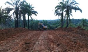 Pembukaan Jalan Baru TMMD Sudah Mencapai 60,7 Persen