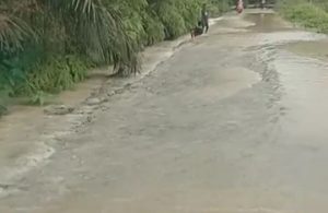 Jalan Protokol Blok E Menuju Blok D Rimbo Ilir Jadi Langganan Banjir