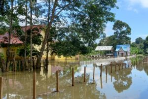 Aktivitas Warga Batu Sawar dan Sekolah Lumpuh Akibat Banjir