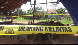 Enam Pengolahan Kayu Tanpa Izin Disegel Polres Muaro Jambi