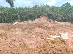 Aktivitas PETI Alat Berat Semakin Menggila di Pamenang
