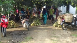 Buah Durian Membawa Berkah Bagi Warga Tebo
