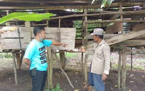 8 Ekor Kambing Warga Digasak Maling, Isi Perut Ditinggal