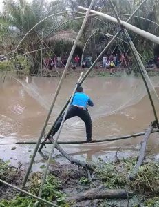 Tradisi Bekarang, Ribuan Warga Desa Senaung Berebut Ikan di Danau