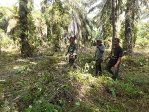Antisipasi Kebakaran Hutan, Sertu Heri Suseno Gelar Patroli Karhutla