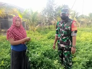 Guna Menopang Ekonomi, Babinsa Agus Ajak Warga Manfaatkan Lahan Kosong