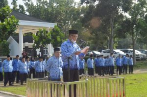 Mewakili Bupati Muaro Jambi, Asisten lll Setda Pimpin Upacara Harkitnas Ke-114