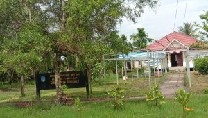 Terkait Ekowisata Hutan Mangrove, Ini Kata Kades Tungkal 1