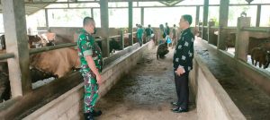 Cegah Virus PMK Pada Sapi, Babinsa Ishak Dampingi Tim Kesawan Suntik Vaksin