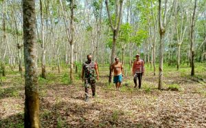 Babinsa Poniman Gelar Patroli, Cegah Kebakaran Hutan dan Lahan