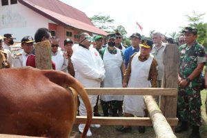 Gubernur Jambi : Mari Bersama Kita Cegah PMK Pada Hewan Ternak