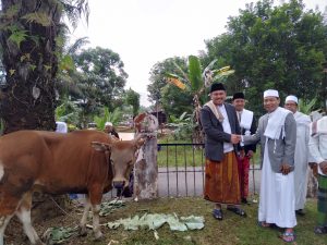 Bupati Bungo Apresiasi Jumlah Masyarakat yang Berkurban Meningkat 