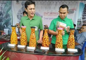 Ketua Samade Bungo, Akan Perjuangkan Harga TBS di Pusat