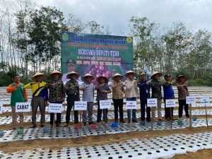 Kapten Inf Agussari, Hadiri Penanaman Perdana Bawang Merah di Sapta Mulya