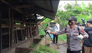 Pantau Peternakan Sapi, Bupati Mashuri Pastikan Bungo Masih Bebas dari PMK