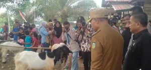 Mesran Anggota DPR Provinsi Jambi, Dukung Tebo Sentra Penghasil Kambing