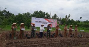 Pemprov bersama BI, Gerakan Penanaman 10.000 Bibit Cabai