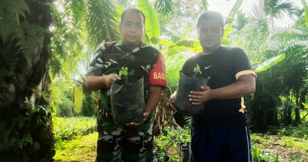 Babinsa Rex Harmodi Ajak Warga Tanam Cabai di Pekarangan Rumah