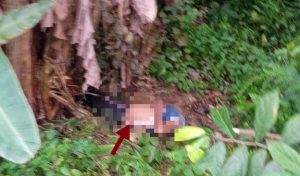Enam Hari Hilang, Paino Ditemukan Tewas Dekat Pohon Pisang