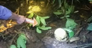 Geger.! Tengkorak Manusia Ditemukan Warga Saat Mancing Ikan