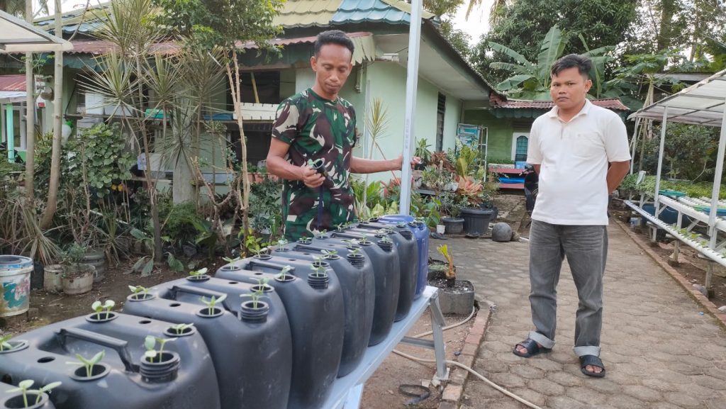 Kreatif Babinsa Afrizal Tanam Melon di Dalam Jerigen