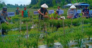 Ide 8 Usaha Jangka Panjang di Desa Bisa Menguntungkan