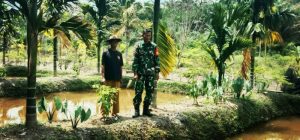 Babinsa Teguh Nugroho Motivasi Petani Budidaya Ikan Kolam