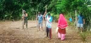 Dukung Ketahanan Pangan, Babinsa Dasiman Bantu Menugal Padi Poktan