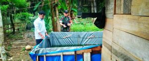 Serda Syafarudin Dorong Budidaya Ikan Kolam Terpal, Topang Ekonomi Warga
