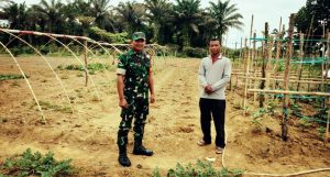 Serma Edi Suwanto Suport Pemdes Budidaya Hortikultura