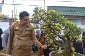 Pj Bupati Muaro Jambi Buka Kontes Dan Pameran Bongsai PPBI-CMJ
