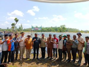 Tanam Cabe Perdana di Suka Jaya, Bupati Serahkan Bantuan Bibit dan Alsintan