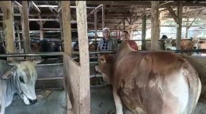 PD Muhammadiyah Bungo, Sembelih Hewan Kurban Esok