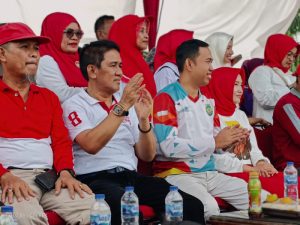 Semarak Karnaval HUT RI di Kecamatan Tanah Sepenggal Lintas