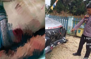 Dua Warga Duel Berdarah di VII Koto, Gunakan Senpi dan Sajam