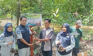 Jasa Raharja Cabang Jambi Dukung Reboisasi Hutan Mangrove
