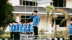 Pimpin Upacara HKN, ini Pesan Pj Bupati Tebo H.Aspan