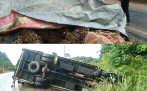 Mobil Truk Muatan Telur Terguling di Jujuhan