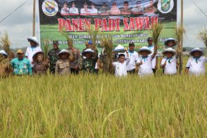 Kapolres Bungo Ikut Tanam dan Panen Padi Sawah di Empelu