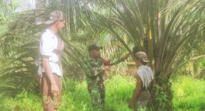 Serda Erick S Ajak Petani Sawit, Jaga Keselamatan Kerja