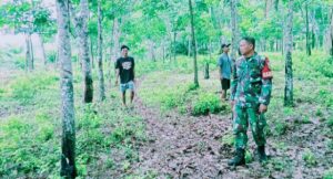 Kemarau Rentan Terjadi Kebakaran Hutan, Ini Pesan Babinsa Poniman